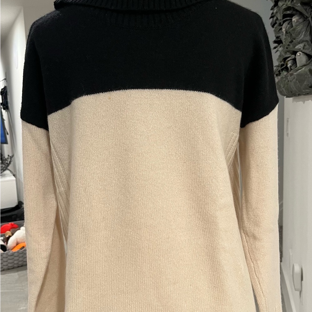 Ply Cashmere Black and Cream Turtleneck Sweater
